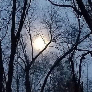 Meet your Posher, Suzi